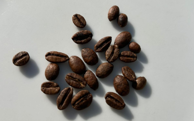 LAURINA O BOURBON POINTU UN CAFÉ DELICIOSO BAJO EN CAFEÍNA